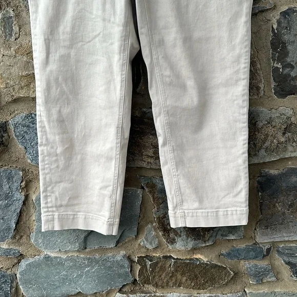 Everlane The Easy Pants Organic Cotton in Canvas Size 16